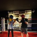 용인대 탑복싱 이미지