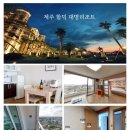 제주 비치 살사 페스티발 (8/29~31) 관심 있으신 분~ 이미지