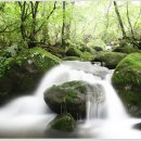 계곡 Daum카페