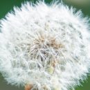 마하재활병원 이미지