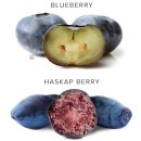 슈퍼베리 이미지