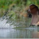 창문가로등 이미지