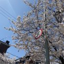 승월마을회관 이미지