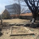 별내코코 | 남양주 별내 가족모임 캠핑 식당 ‘코코그릴’ 방문후기 (카라반 예약후기, 17개월 아기랑) | 엄마 생신...