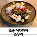 오송현대서비스(주) | 최애가 될 것 같은 오송 이자카야 쇼우리 이소베마끼 추천