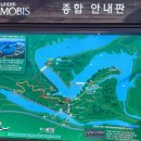 진천 농다리 미르309 국내 최장 출렁다리 주차장 후기