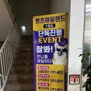 밀크펫살롱 | 거제 애견용품점 반려동물용품 ‘펫츠아일랜드 수월점’ 할인