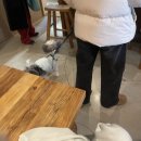 굽네치킨(미아점) | 1월 (일상, 주말 일기, 호주식 오렌지커피, 몬탁 방배 카페, 붉은 말 키링, 잠실역 로또, 위시 리스트...