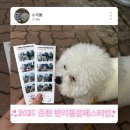 강원대학교박물관 | 2025 춘천 반려동물 페스티벌 방문후기