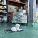 하띠농장 이미지