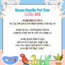 렙타일마켓