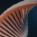 주식회사 태환 이미지