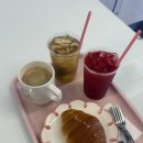 핑크애견 | 양재동 애견동반 카페 추천 커피핑크 후기