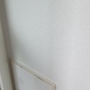 퍼펙트탄성