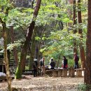 삼태기마을 이미지