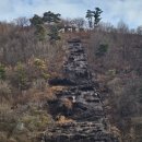 진천 초평 미르309 출렁다리 농다리 여행 문광저수지 은행나무길 둘레길 늦가을여행 충북 여행 이미지