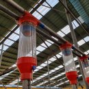 조원진농장 이미지