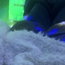 욜로PC방 인천논현점 이미지