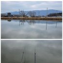 새마을낚시터 | 3월, 첫 출조 (2026. 3. 1., 포천 새마을낚시터)