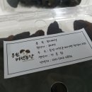 흥원농장 이미지