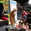 피디투어 이미지