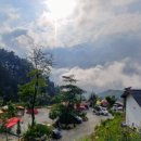 함양천자봉관광농원숲속애 이미지