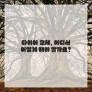 장군카센타 | 영월타이어, 내 차의 든든한 발걸음을 위한 완벽 가이드!