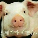마장로324번길 이미지