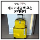 캐리어네임택 추천 온더레더 주문 제작 가능한 여행가방 이름표 러기지택 후기