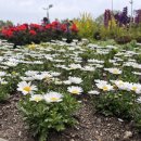 바다향기 | 대부도 안산 여행 코스 추천, 힐링 가득한 바다향기수목원 방문 후기