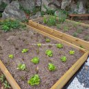 전남대학교 농업실습교육원 | 치유농업사 2급 양성과정 목록과 신한대학교 대학원, 2026년 면접심사일은 3월 20일