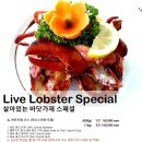 몬테비얀코 이미지