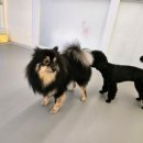 만안유치원 | 🧸 카오의 유치원 생활 &amp; 겨울철 정전기 대비 아이템 닥터 블랭크 영양 보습 미스트 150ml 솔직 후기