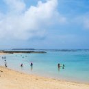 유영하는 언어-1 이미지