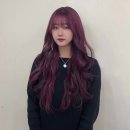 체리퍼플