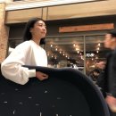 도무스 펫샵 이미지