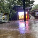 국과반찬 이미지