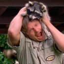 강아지를부탁해(돌봄) 이미지