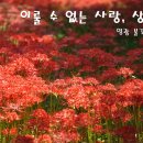 모악보건진료소 | 영광 불갑산 연실봉 516m : 영광 불갑사 상사화군락지 산행