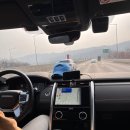 이신호 | 완두는 꼬똥 (+한국꼬똥켄넬 분양후기)