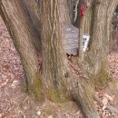 공주생명과학고 제2농장 이미지