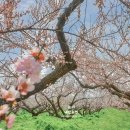화전3리 경로당 이미지