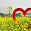 용두건강생활지원센터 이미지