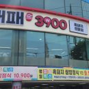 금대패 이미지