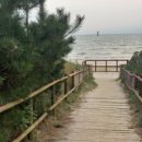 PENSION1830 | 안면도바베큐펜션 오션뷰펜션은 PENSION1830가 끝판왕