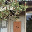 송원애견의집 - 춘천시 우석로 75 | 가평 운악산 출렁다리 근처 스너글리 안 후기｜애견동반 가능