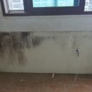 미장코아루아파트경로당 | 군산 미장코아루 베란다 탄성코트 시공 후기