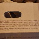 꿀이농장 이미지