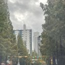 벽적골주공 8단지2차 | 쉬는 날 아파트 임장 가보기: 벽적골 주공 8단지
