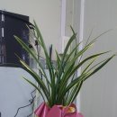 동명금속 이미지